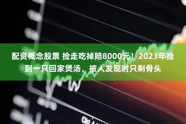 配资概念股票 捡走吃掉赔8000元！2023年捡到一只回家煲汤，被人发现时只剩骨头